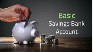 Basic Savings Bank Deposit (BSBDA) Account